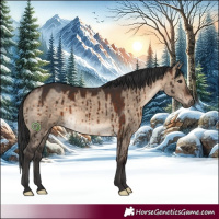 Horse Color:White Spotted Brown Dun Brindle 