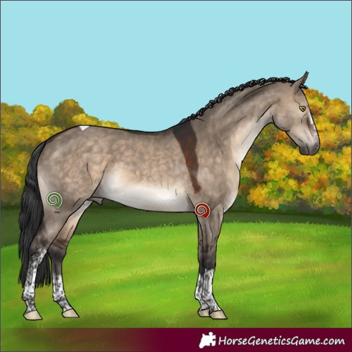 Horse Color:White Spotted Brown Dun Tobiano 
