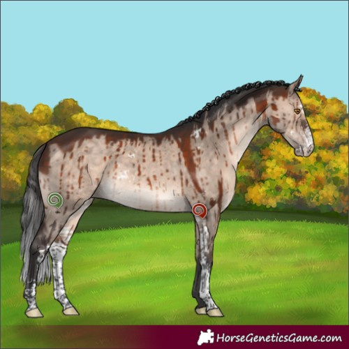 Horse Color:Brown Dun Mushroom Sabino Brindle 