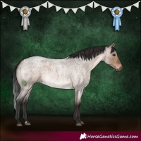 Horse Color:Brown Roan Dun 