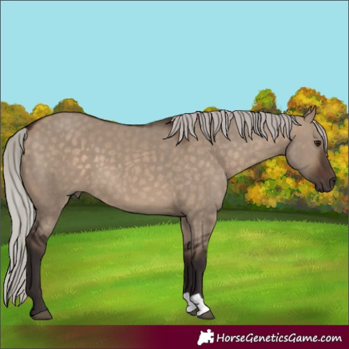 Horse Color:Silver Brown Dun 