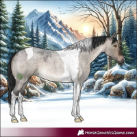 Horse Color:Brown Roan Dun Tobiano