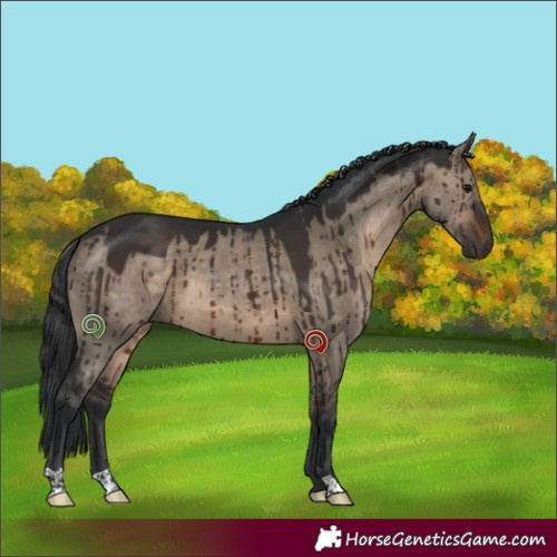 Horse Color:Brown Dun Brindle 