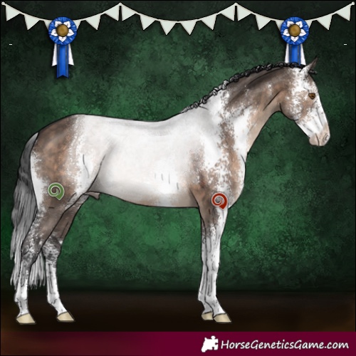 Horse Color:Brown Dun Sabino 