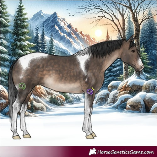 Horse Color:White Spotted Brown Dun Tobiano