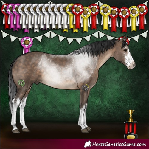 Horse Color:White Spotted Brown Dun 