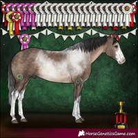 Horse Color:White Spotted Brown Dun