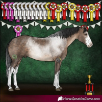 Horse Color:White Spotted Brown Dun 
