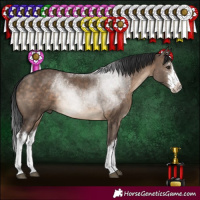 Horse Color:White Spotted Brown Dun