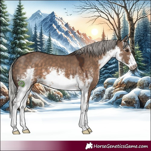 Horse Color:White Spotted Silver Brown Dun 