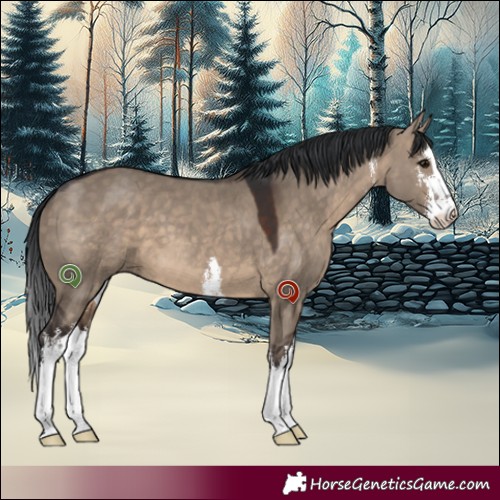 Horse Color:White Spotted Brown Dun 