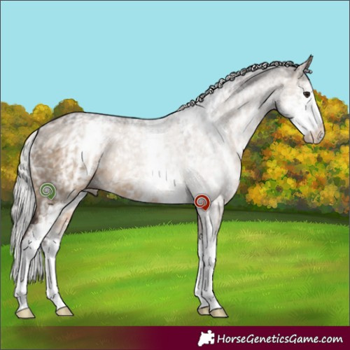 Horse Color:White Spotted Silver Brown Dun Sabino 