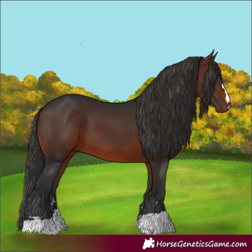 Horse Color:Brown 