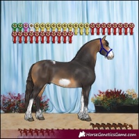 Horse Color:Buckskin Tobiano Frame
