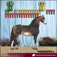 Horse Color:Buckskin Tobiano Frame 
