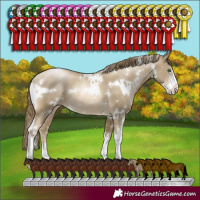 Horse Color:White Spotted Smoky Black Pearl Sabino Rabicano 