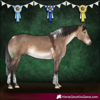 Horse Color:Brown Dun Tobiano 