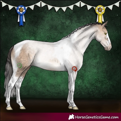Horse Color:Bay Dun Tobiano 