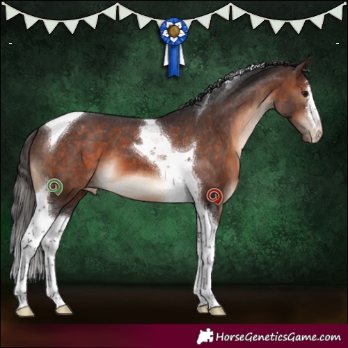 Horse Color:Brown Tobiano Varnish 