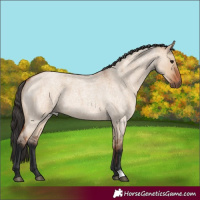 Horse Color:Bay Roan Dun 