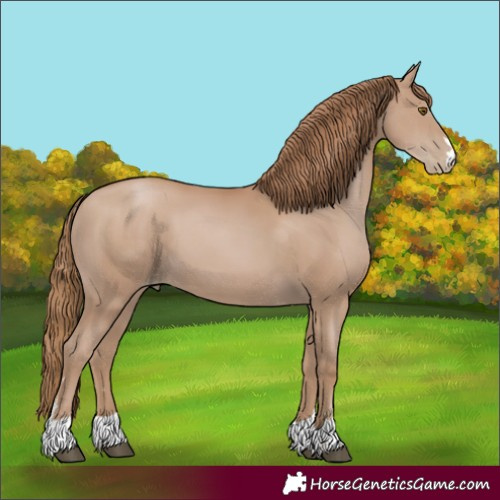 Horse Color:Black Pearl 