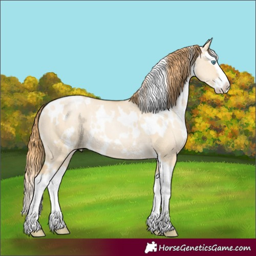 Horse Color:White Spotted Smoky Grullo Pearl Splash 