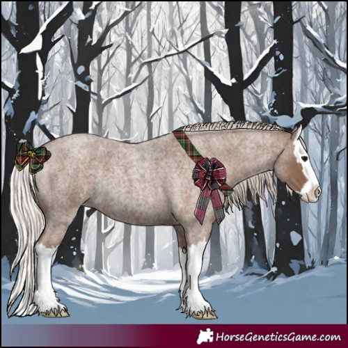 Horse Color:Silver Blue Roan Splash
