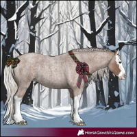 Horse Color:Silver Blue Roan Splash