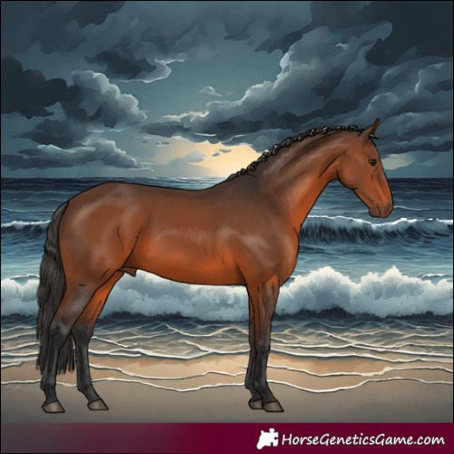 Horse Color:Brown Rabicano 