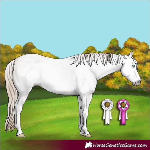 Horse Color:Gray White Spotted Buckskin Pearl Dun Sabino 