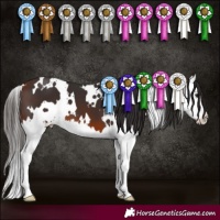 Horse Color:White Spotted Bay Splash 