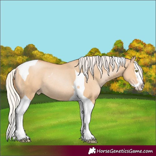 Horse Color:Silver Bay Pearl Dun Splash Tobiano Rabicano 