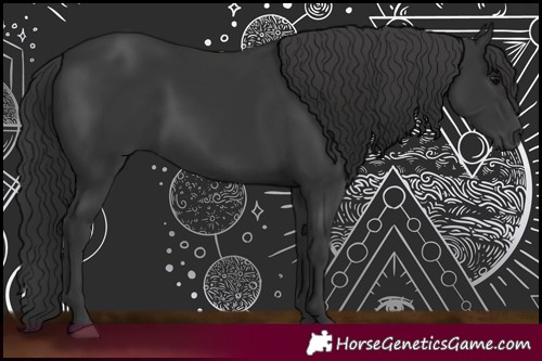 Horse Color:Black 