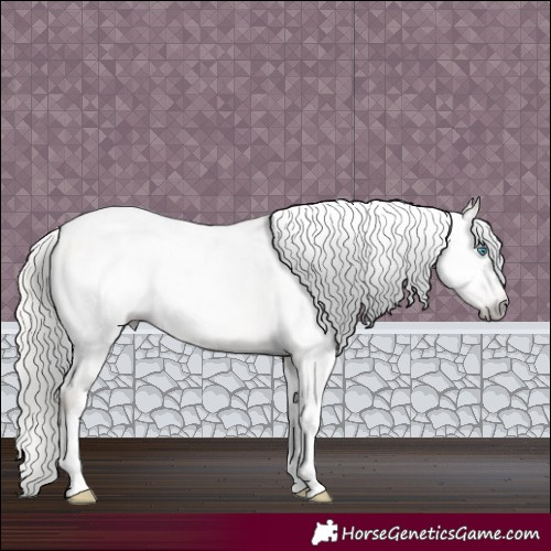 Horse Color:Gray Silver Amber Cream Champagne Roan Dun Splash Tobiano Frame Appaloosa Rabicano 