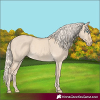 Horse Color:Cremello Dun 