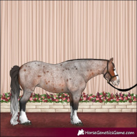 Horse Color:Bay Roan Splash 