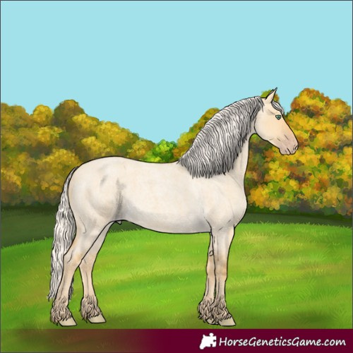 Horse Color:Silver Classic Cream Champagne Roan Dun
