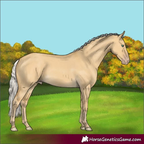 Horse Color:Silver Classic Cream Champagne Dun