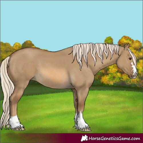 Horse Color:Unknown 