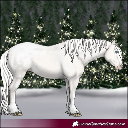 Horse Color:Cremello Dun Appaloosa