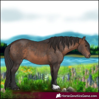 Horse Color:Brown 