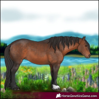 Horse Color:Brown 