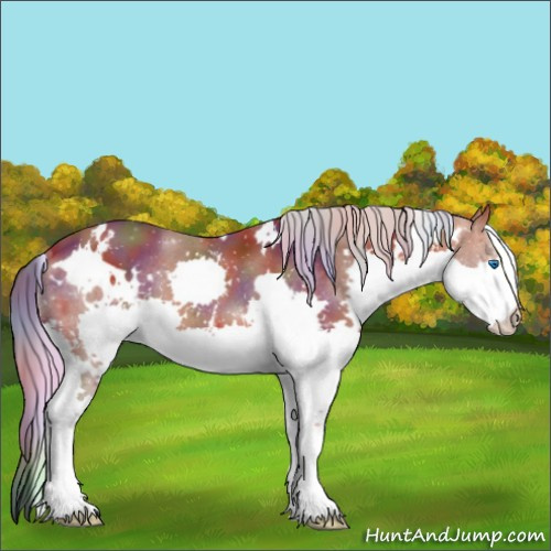 Horse Color:Nacre White Spotted Silver Bay Splash