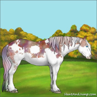 Horse Color:Nacre White Spotted Silver Bay Splash