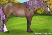 Horse Color:Painted Silver Bay 