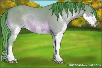 Horse Color:Watercolor Bay Splash