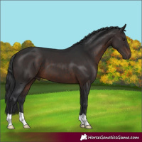 Horse Color:Brown 