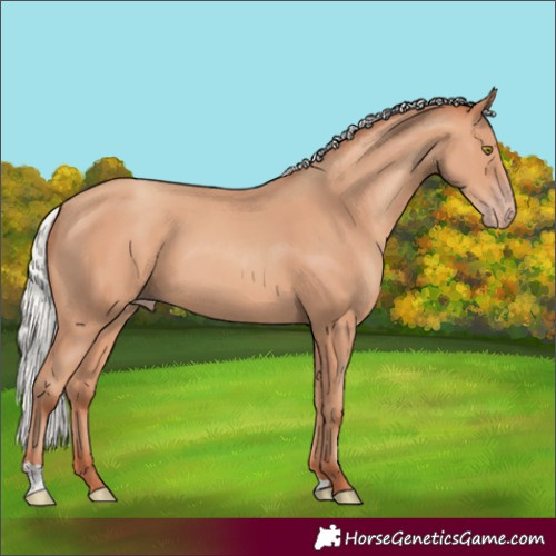 Horse Color:Silver Sable Champagne 