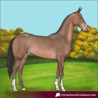 Horse Color:Sable Champagne 