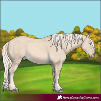 Horse Color:Cremello Dun 